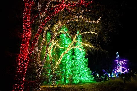 turtle bay garden of lights|PHOTOS: Garden of Lights a holiday spectacle at Turtle Bay.